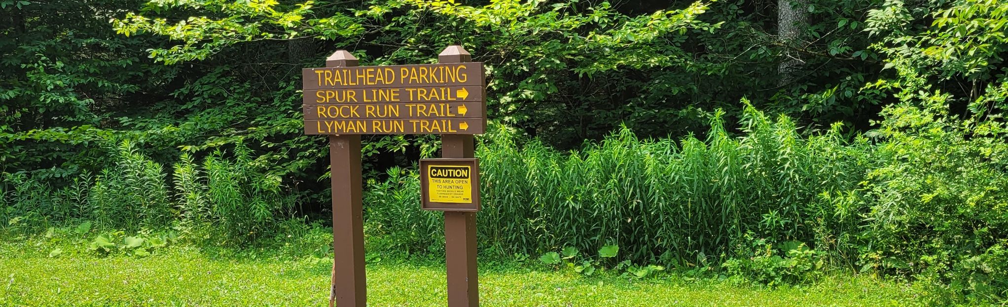 Lyman Run Creek Trail: 21 Reviews, Map - Pennsylvania | AllTrails