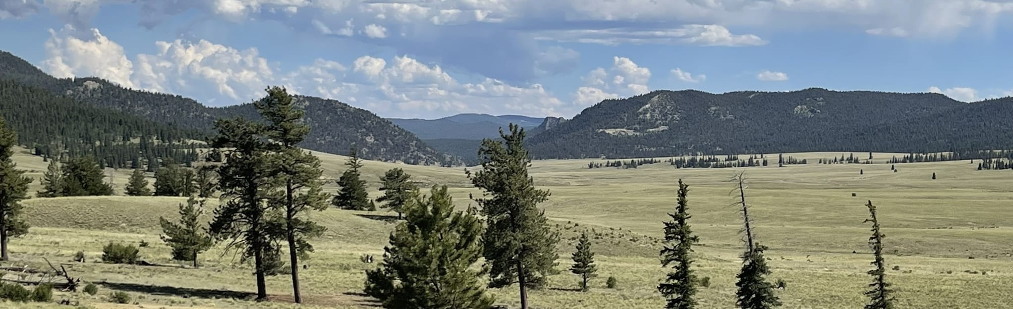 Trout Creek Road, Colorado 5 Reviews, Map AllTrails