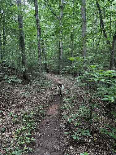 Best 10 Hiking Trails in Sweet Briar Trail System | AllTrails