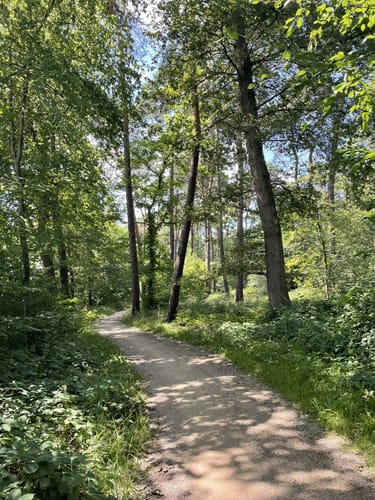 Rund um den Ternscher See