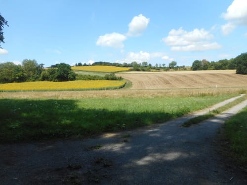Romantische Straße Etappe 2: Helmstadt - Wertheim
