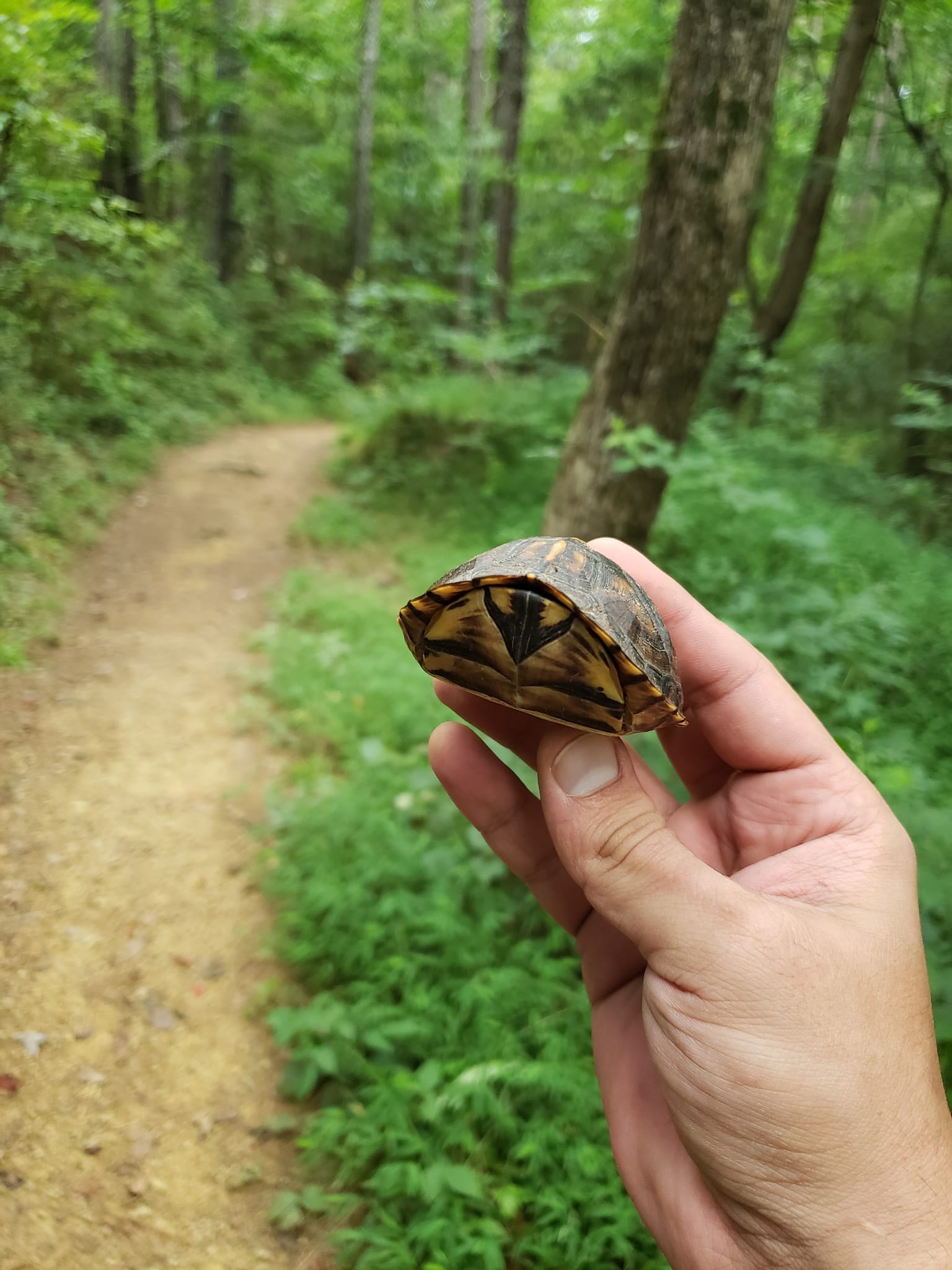 Raisin woods best sale mountain bike park