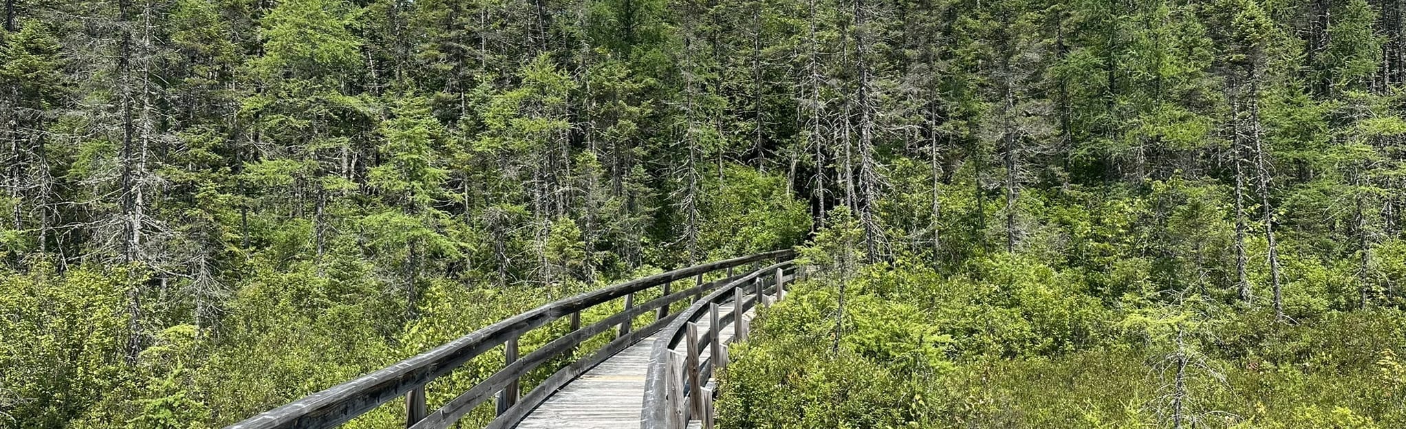 Mud Pond Trail 74 Reviews, Map New Hampshire AllTrails