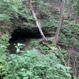 Sand Cave Trail, Kentucky - 308 Reviews, Map | AllTrails