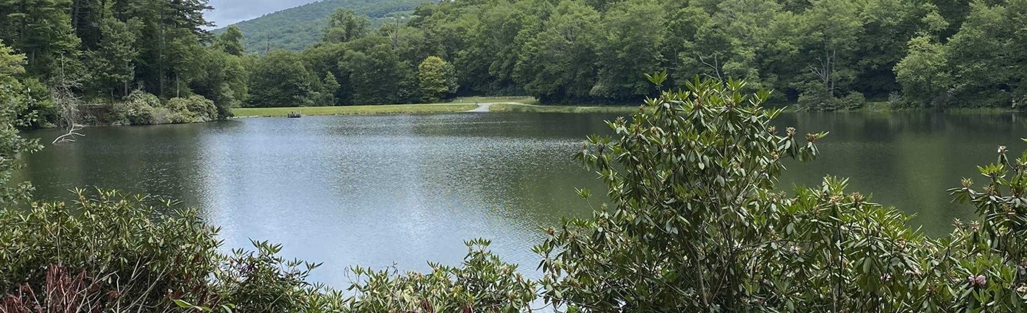 Trout Lake Loop Trail 336 Reviews, Map North Carolina AllTrails