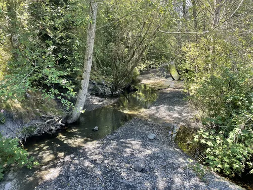 2023 Best Easy Trails in Sedro-Woolley | AllTrails