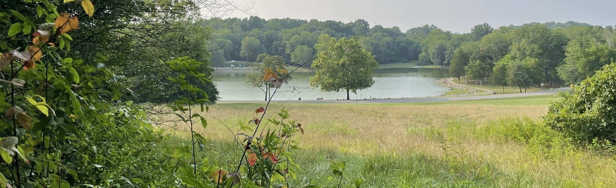 Cedar Hill Mountain Bike Loop, Tennessee 195 Reviews, Map AllTrails