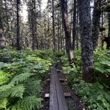 Caines Head Trail, Alaska - 176 Reviews, Map | AllTrails