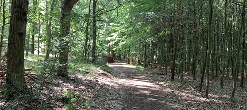 Romantische Straße Etappe 2: Helmstadt - Wertheim
