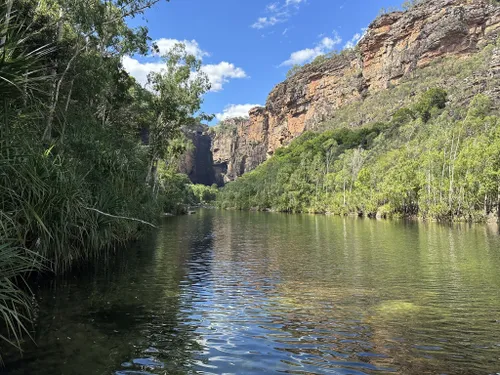 can you take dogs into kakadu