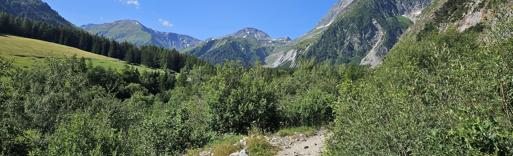 Alpine Passes Trail, Segment 35 La Fouly ChampexLac 68 Reviews