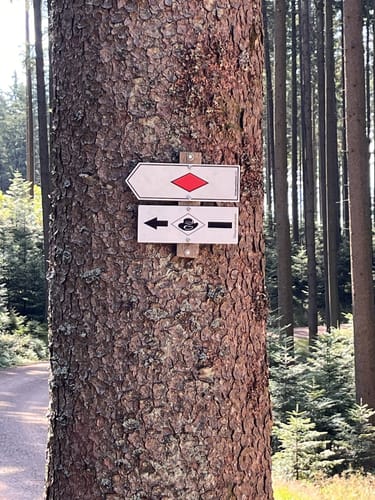 Westweg Etappe 6: Hark - Hausach