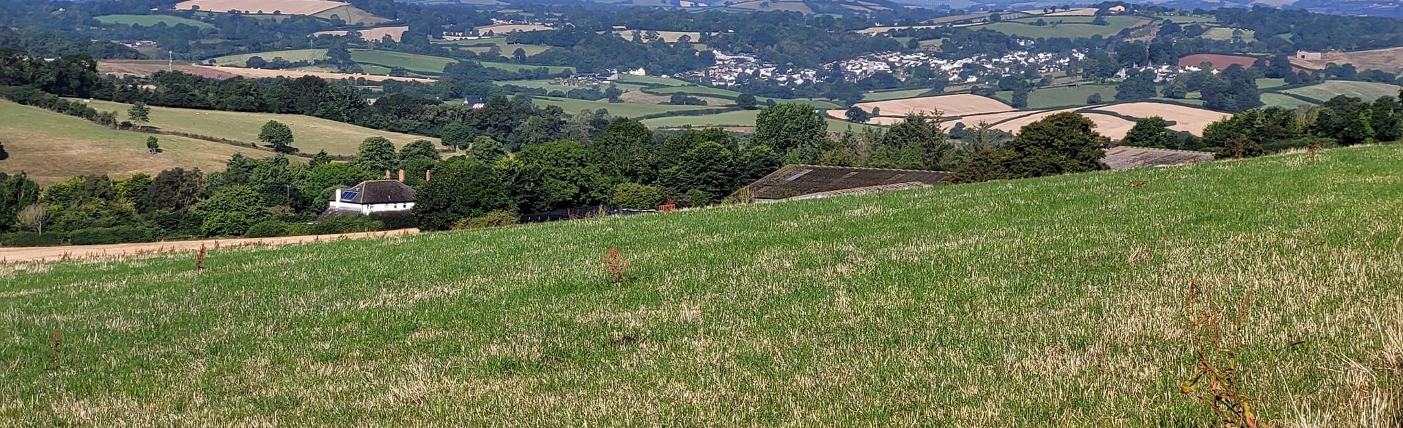Coffinswell Buckland Netherton Circular 10 Fotos Devon, England AllTrails