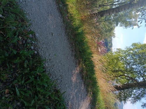 Happurg - Doggerstollen - Stausee