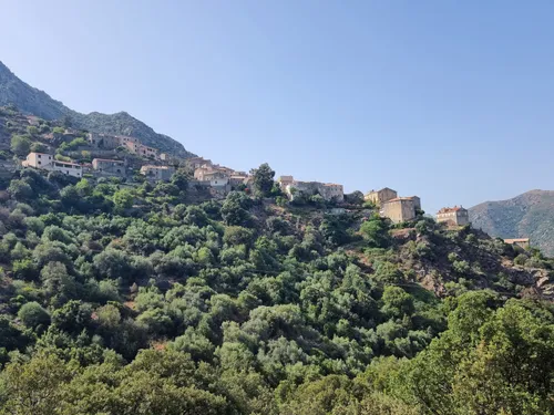 Best Dog Friendly Trails in Lama AllTrails