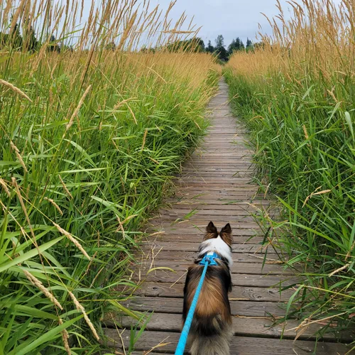 Best Hikes and Trails in North Creek Park AllTrails