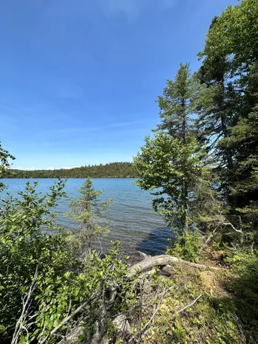 10 Best Hikes and Trails in Isle Royale National Park | AllTrails