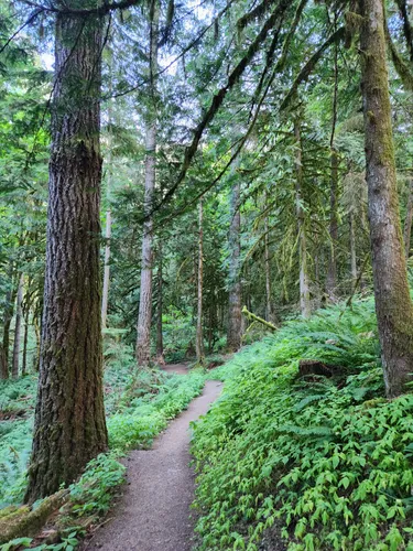 10 Best Hikes and Trails in Cultus Lake Provincial Park | AllTrails