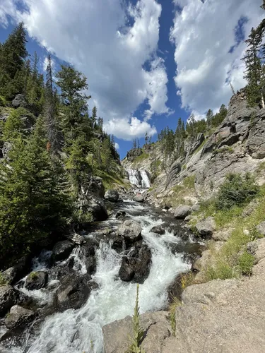 Best day hikes in 2025 yellowstone to see wildlife