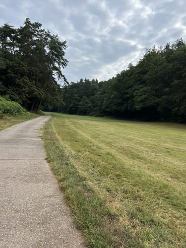 Wald und Wiesen ab Queidersbach
