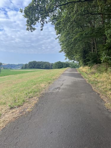 Wald und Wiesen ab Queidersbach