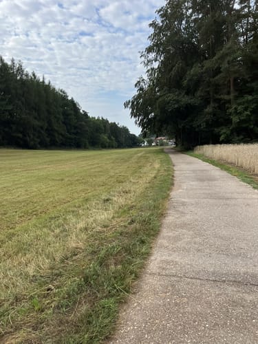 Wald und Wiesen ab Queidersbach