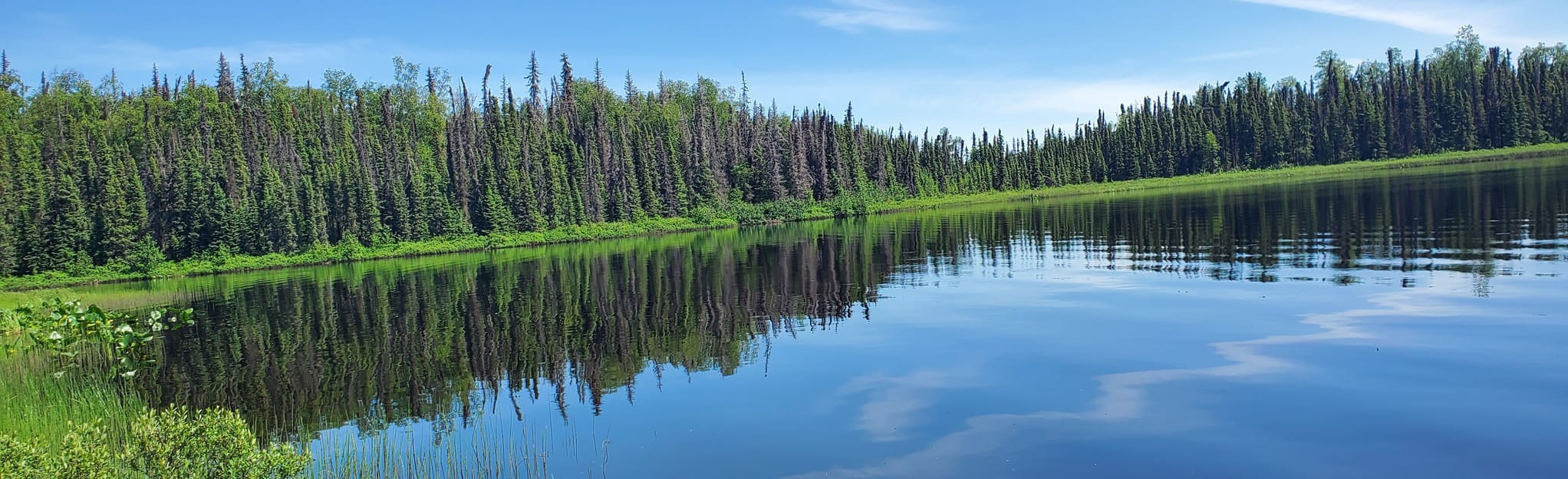 Red Shirt Lake Trail, Alaska 96 Reviews, Map AllTrails