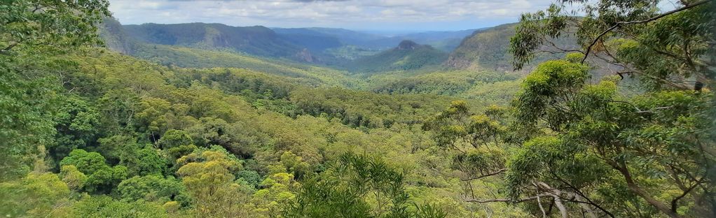 Hiking Coomera Circuit in Binna Burra - Get Out There Adventures