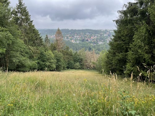 Liebesbankweg (Premiumwanderweg)