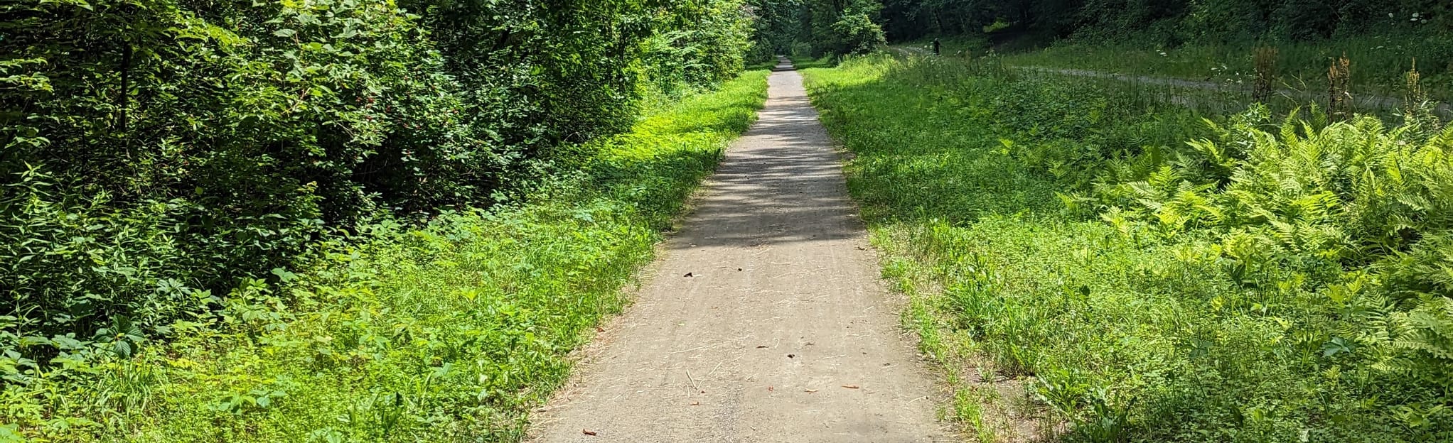 Dog Head Falls via Lamoille Valley Rail Trail, Vermont 115 Reviews