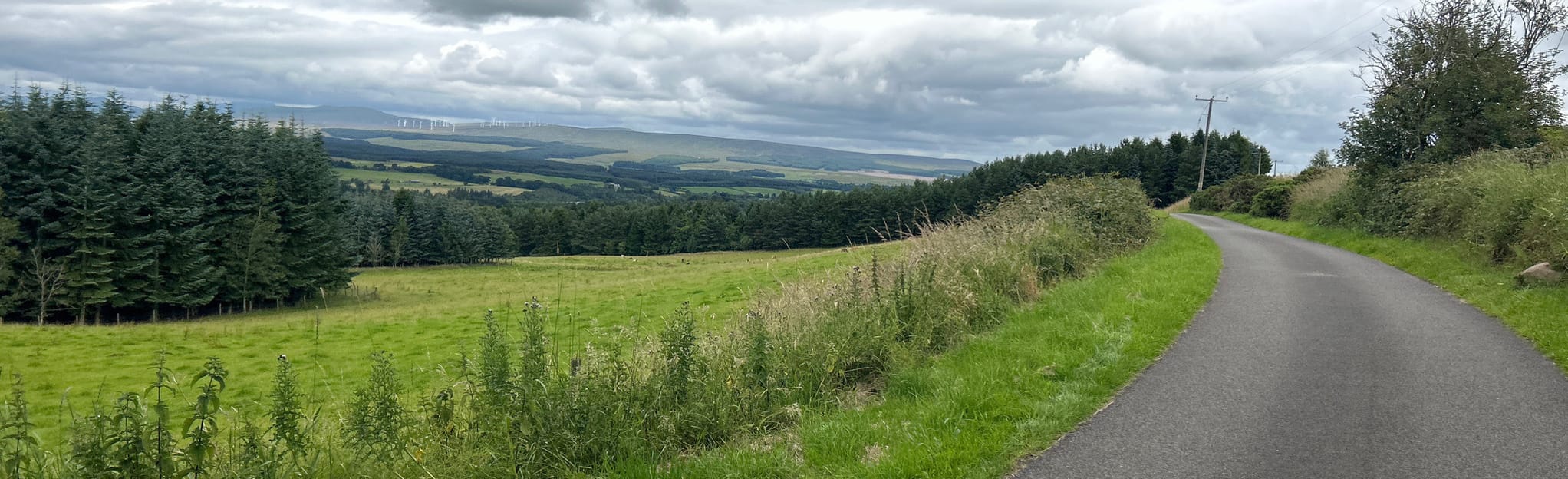 Bridge of Allan and Dunblane Circular 19 Reviews, Map Stirling