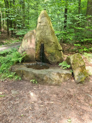 Rundweg Seebachtal Hain