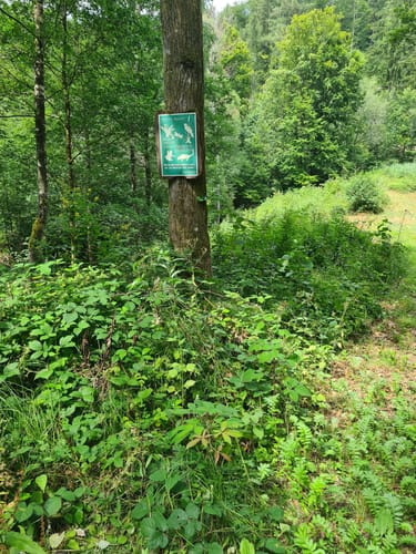 Rundweg Seebachtal Hain