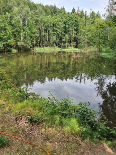Rundweg Seebachtal Hain