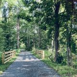 Mohawk Trail Multi-Use Path, Massachusetts - 86 Reviews, Map | AllTrails