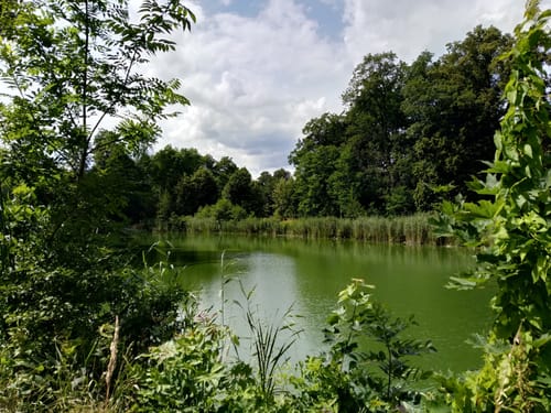 Burgruine Breydin bei Trampe