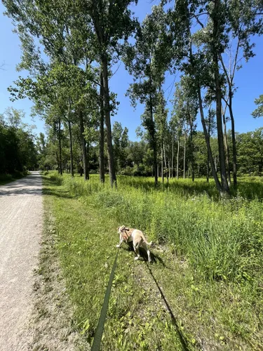 2023 Best Partially Paved Trails in Lake Orion | AllTrails