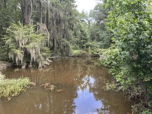 Best Hikes and Trails in Phinizy Swamp Nature Park AllTrails