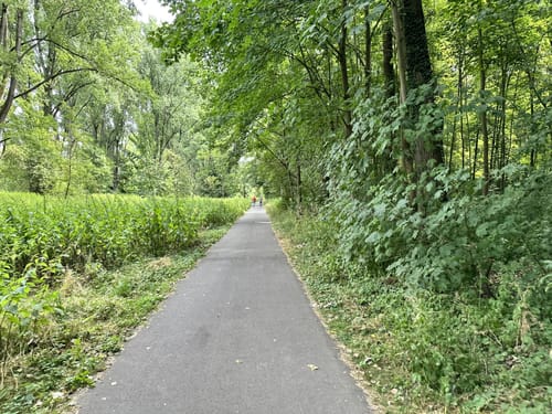 Siebengebirge Köln - Bonn