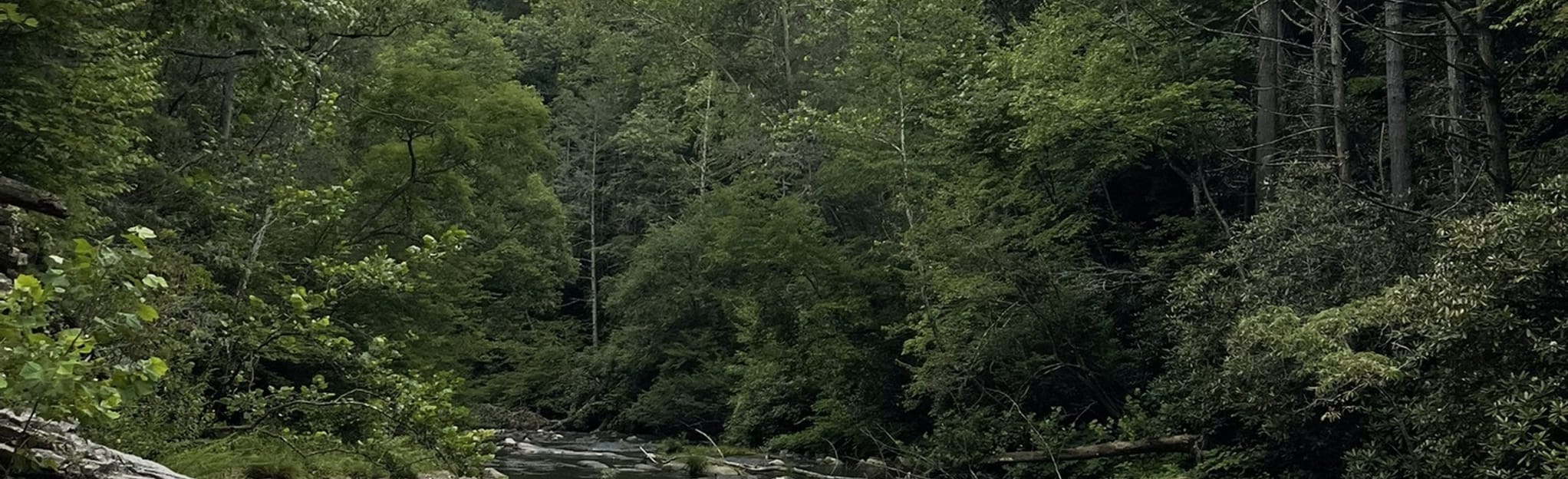 Spring Creek Loop via Rocky Bluff Campground 88 foto's North