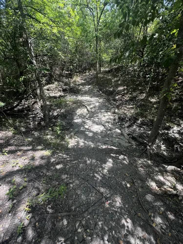 2023 Best Walking Trails in McKinney - EyJidWNrZXQiOiJhc3NldHMuYWxsdHJhaWxzLmNvbSIsImtleSI6InVwbG9hZHMvcGhvdG8vaW1hZ2UvNjI4NTM4ODQvZjFjMDhkZTc0NTEyYWMwNjQ5YjI5OGI0NjUyZDQ1MTIuanBnIiwiZWRpdHMiOnsidG9Gb3JtYXQiOiJ3ZWJwIiwicmVzaXplIjp7IndpZHRoIjo1MDAsImhlaWdodCI6NTAwLCJmaXQiOiJpbnNpZGUifSwicm90YXRlIjpudWxsLCJqcGVnIjp7InRyZWxsaXNRdWFudGlzYXRpb24iOnRydWUsIm92ZXJzaG9vdERlcmluZ2luZyI6dHJ1ZSwib3B0aW1pc2VTY2FucyI6dHJ1ZSwicXVhbnRpc2F0aW9uVGFibGUiOjN9fX0=