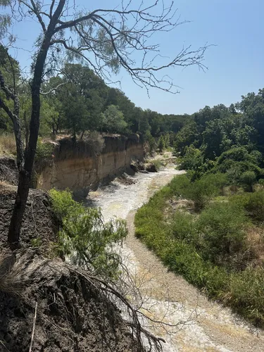 2023 Best Walking Trails in McKinney - EyJidWNrZXQiOiJhc3NldHMuYWxsdHJhaWxzLmNvbSIsImtleSI6InVwbG9hZHMvcGhvdG8vaW1hZ2UvNjI4NTM4OTgvMTI0NWRhNWZmNjEwMzVhZWZjODYwNmE2YWM4NDlmYTAuanBnIiwiZWRpdHMiOnsidG9Gb3JtYXQiOiJ3ZWJwIiwicmVzaXplIjp7IndpZHRoIjo1MDAsImhlaWdodCI6NTAwLCJmaXQiOiJpbnNpZGUifSwicm90YXRlIjpudWxsLCJqcGVnIjp7InRyZWxsaXNRdWFudGlzYXRpb24iOnRydWUsIm92ZXJzaG9vdERlcmluZ2luZyI6dHJ1ZSwib3B0aW1pc2VTY2FucyI6dHJ1ZSwicXVhbnRpc2F0aW9uVGFibGUiOjN9fX0=