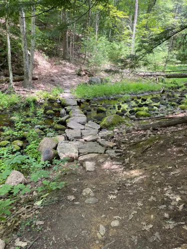 daniels road state forest trail map