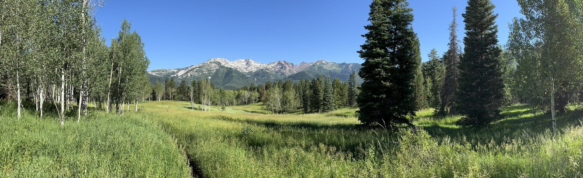 Tibble Fork Trail, Utah 145 Reviews, Map AllTrails