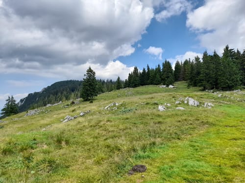 Inzeller Streicher