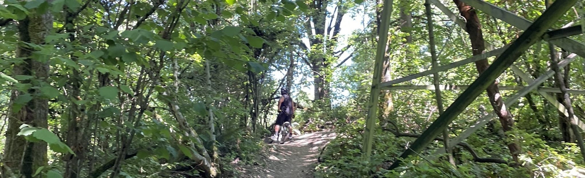 Crop Circles, Tapeworm, Silkworm and Parasite Trail 42 foto's