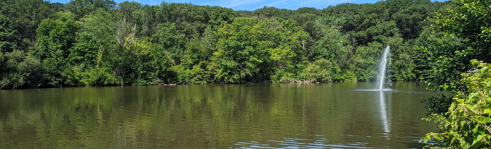 Clove Lake Park Loop, New York 215 Reviews, Map AllTrails