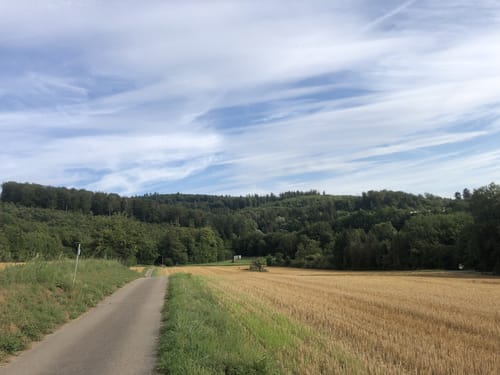 Rund um den Ernet