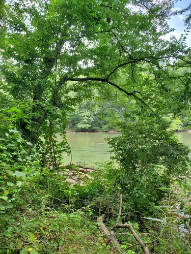 Best Hikes and Trails in Jones Bridge Unit - Chattahoochee River ...
