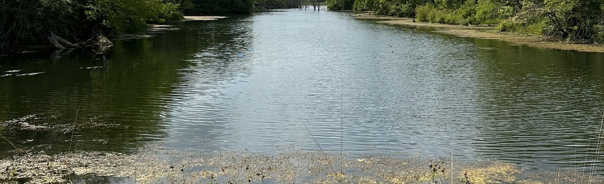 Gridley Lake Trail, Illinois 49 Reviews, Map AllTrails